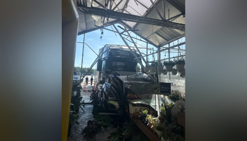 Un camión se estrelló contra un Home Depot luego de que el conductor se le olvidara activar el...