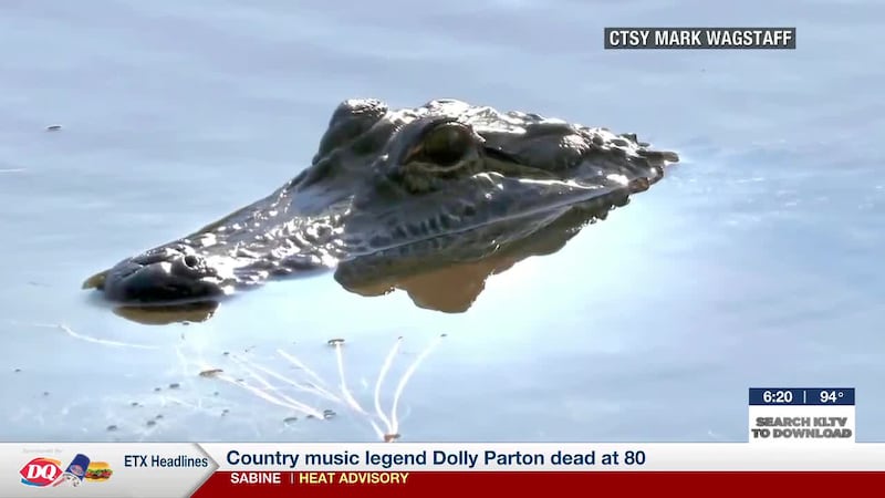 Lindale Gator