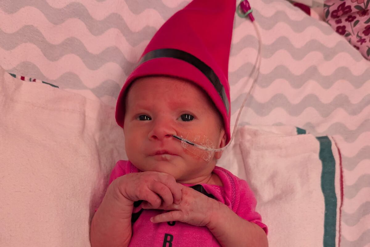 preloaded gallery image