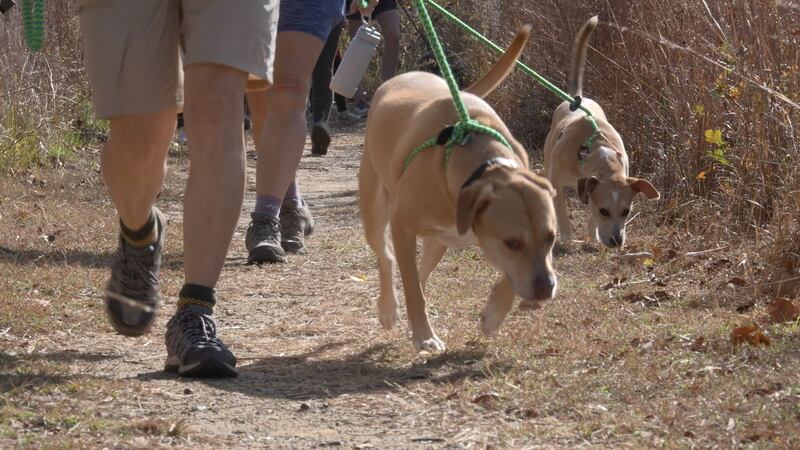 El Parque Estatal Tyler y la SPCA del Este de Texas se asocian para el evento ‘Barks N Rec’