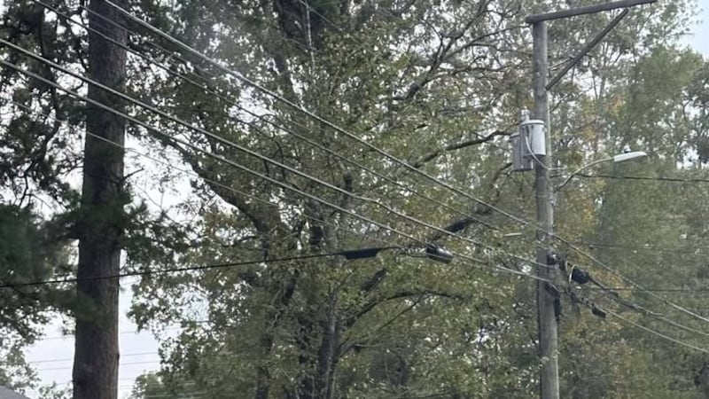Cables eléctricos atrapados en árboles caídos tras tornado confirmado por radar en Kilgore.
