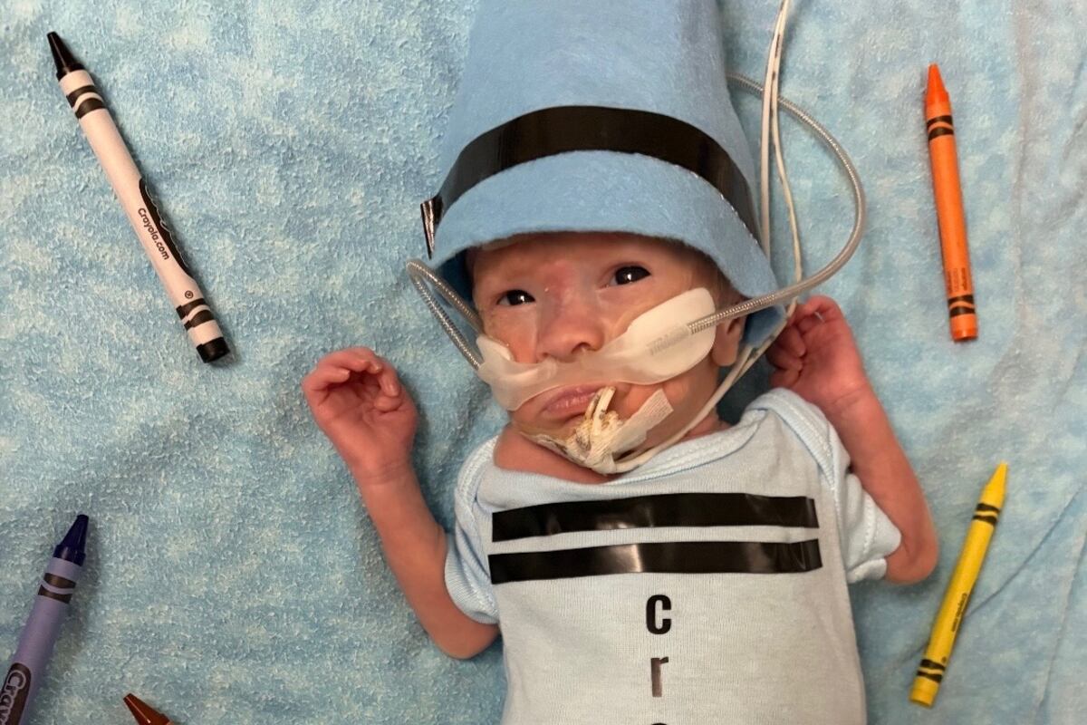 preloaded gallery image