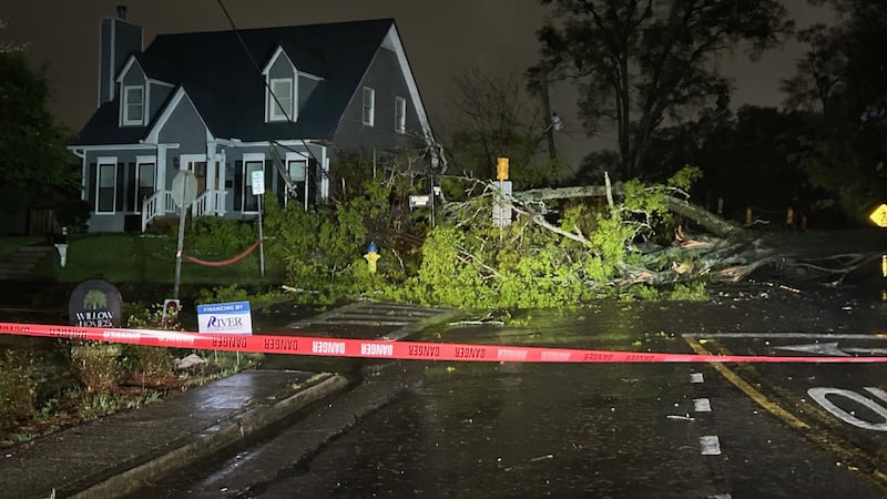 Tree blocks Oxmoor Road and College Avenue.