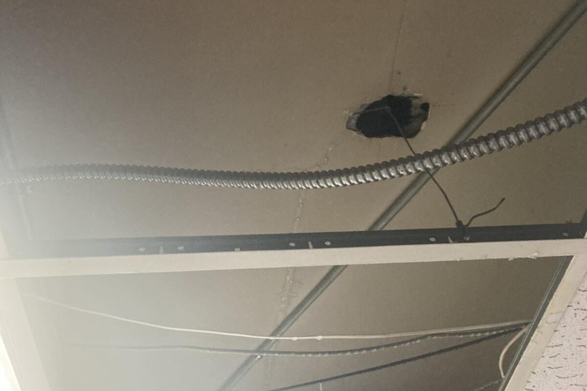 preloaded gallery image