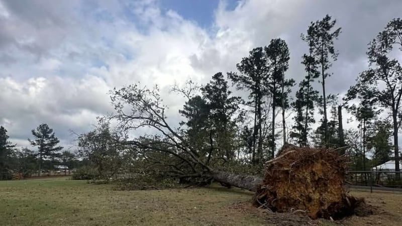 Ashley Turner compartió un video desde su oficina en County Road 4106.