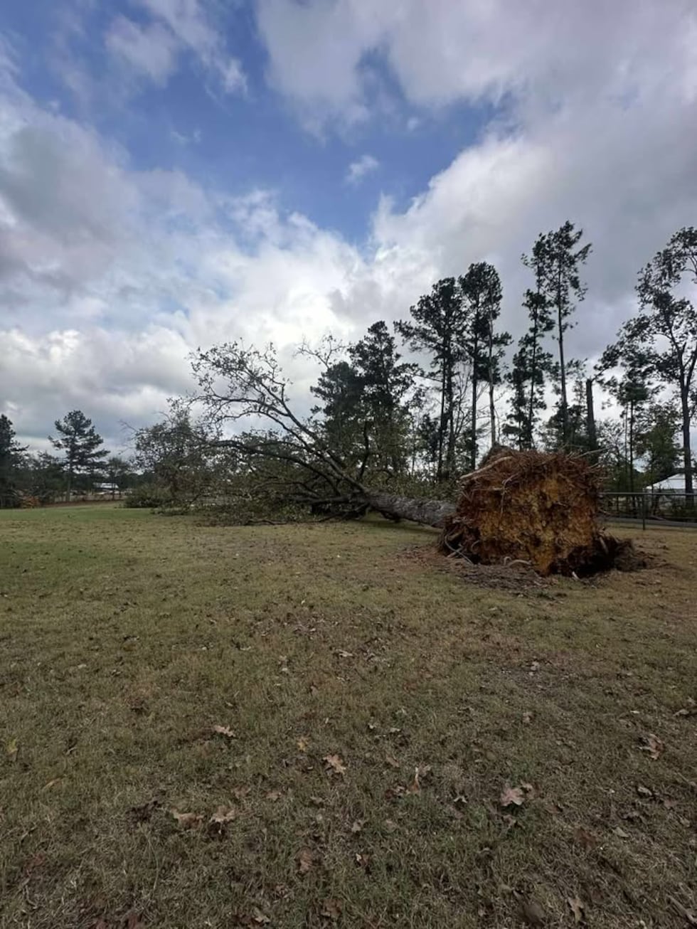 Ashley Turner shared images of storm damage on County Road 4106.