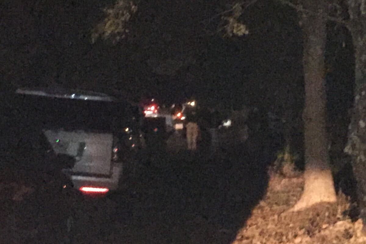 preloaded gallery image