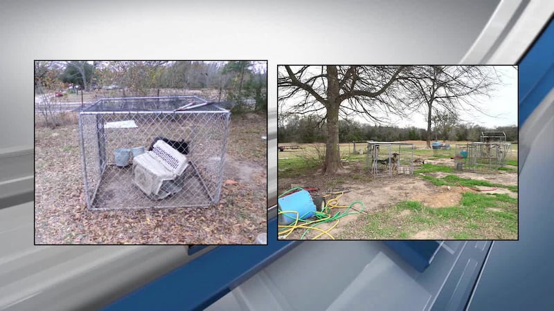 Indictment: Illegal breeder had starving dogs living in ‘deplorable conditions’ in Hopkins County