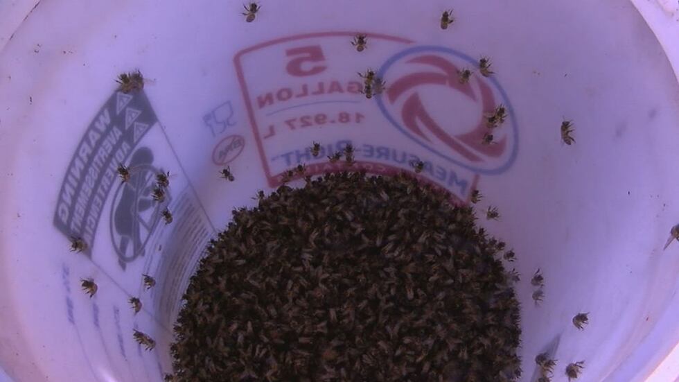 (Crédito: Personal de noticias KLTV)