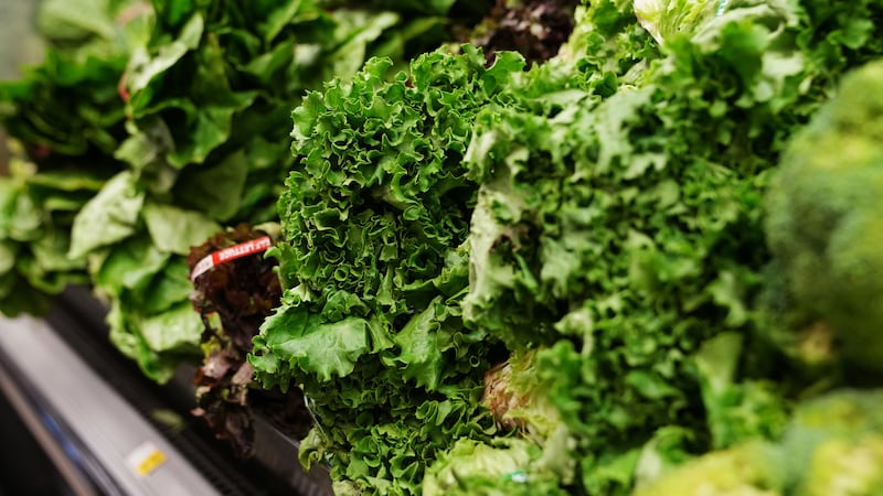 Lechugas expuestas en la sección de frutas y verduras de una cadena de supermercados de...