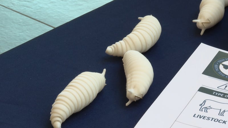 Texas has four active screwworm cases.