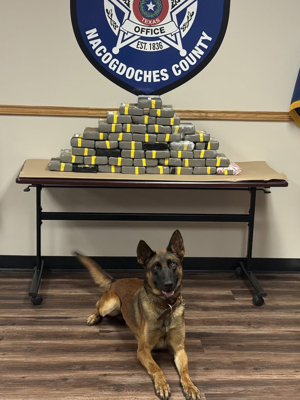 K-9 Milo helped deputies seize 100 pounds of cocaine in Nacogdoches County.