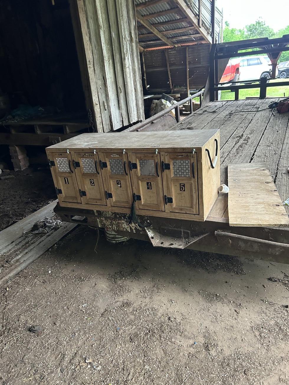 56 dead roosters found, 4 arrested after search of Rusk County property