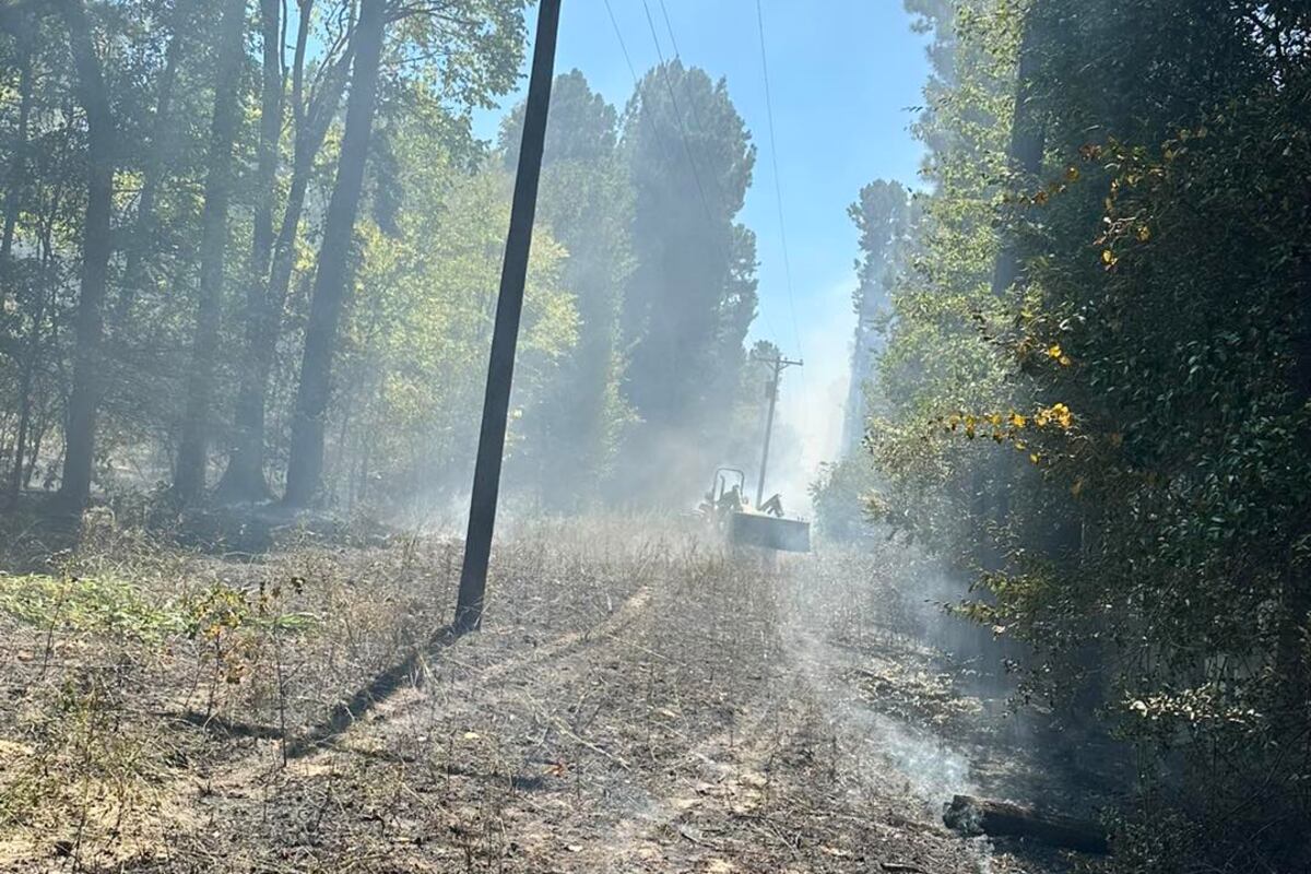 preloaded gallery image