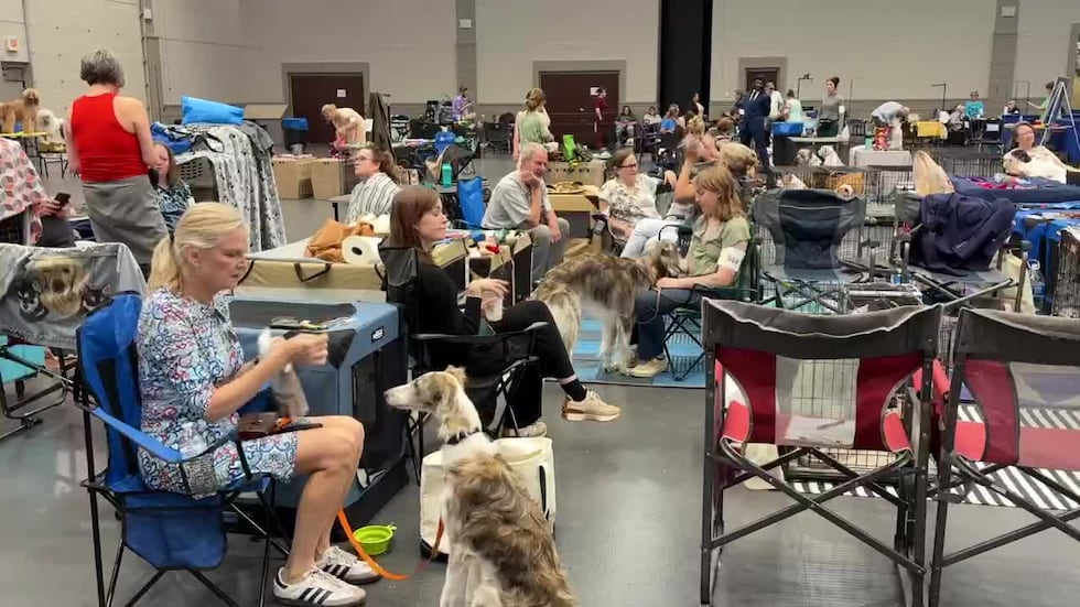 Longview to host weekend UKC Dog Show