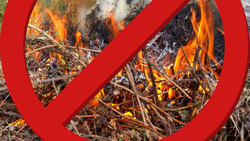 Según las autoridades municipales, la prohibición incluye, entre otras cosas, la quema de...