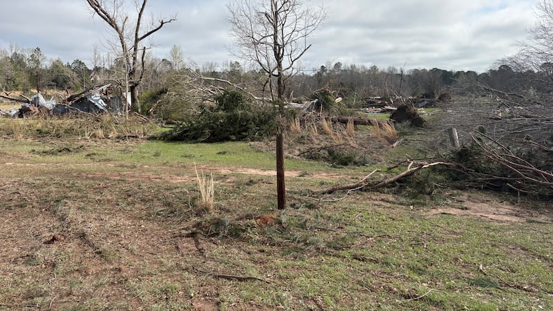 “Usually when we’re seeing total uprooting of trees and then especially total demolition of...
