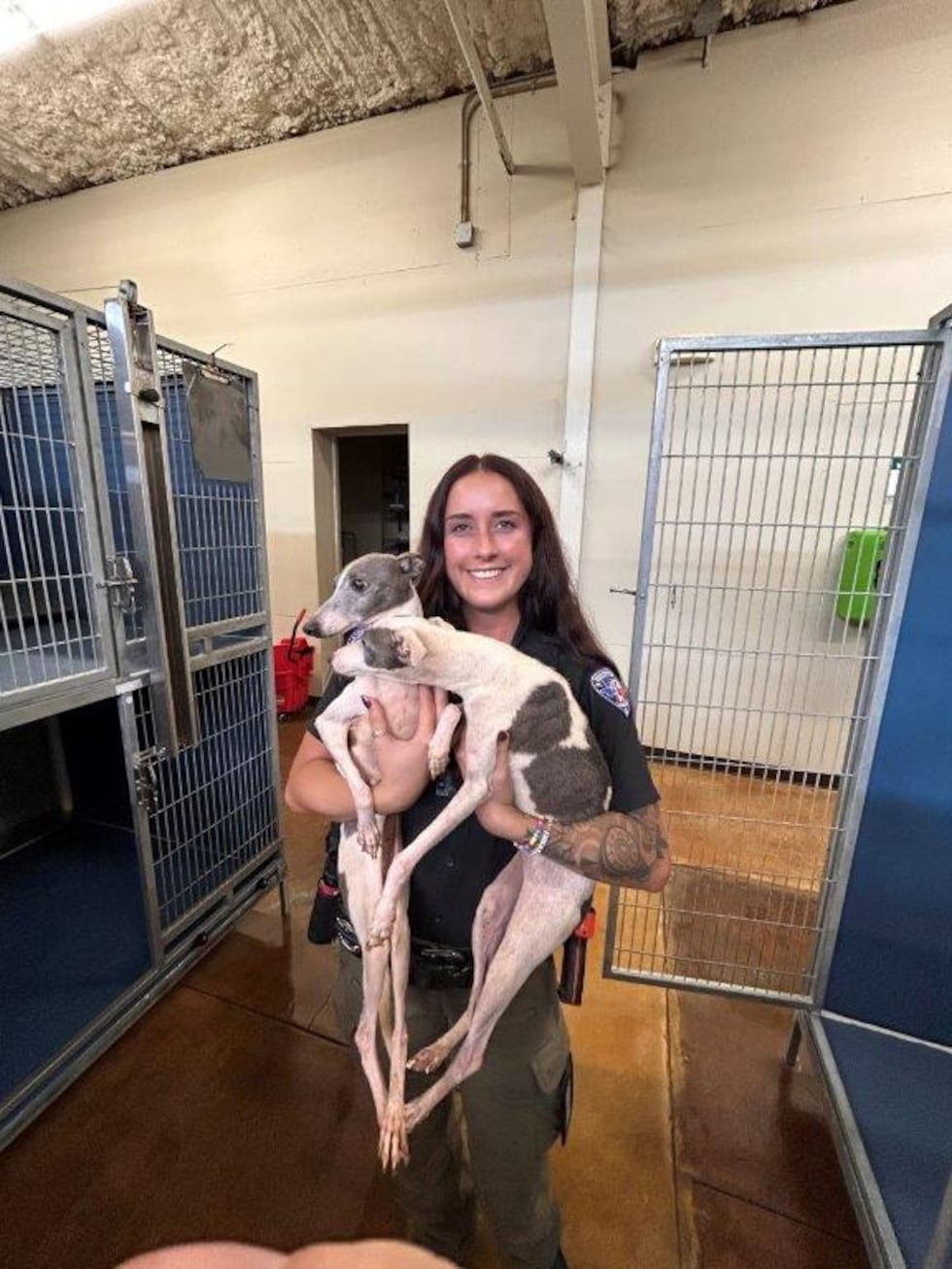 Smith County authorities rescue 44 dogs