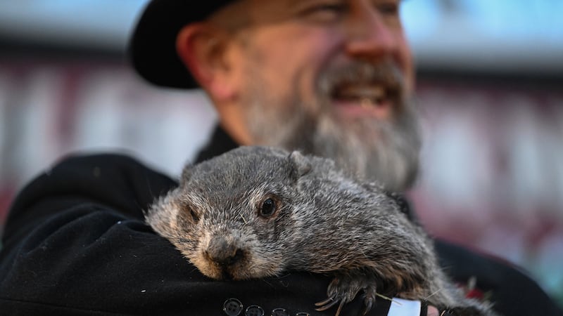 El cuidador del Club de la Marmota, A.J. Dereume, sostiene a Punxsutawney Phil, la marmota que...