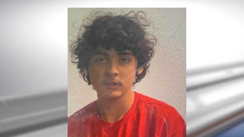 Michael Martin Ortiz, 16, was last seen Tuesday.