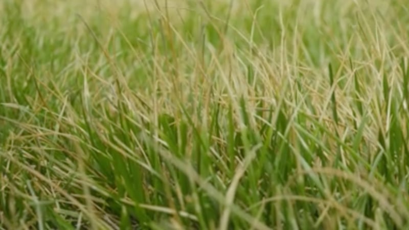 Esta iniciativa también tiene como objetivo mantener la presión del agua en toda la ciudad.