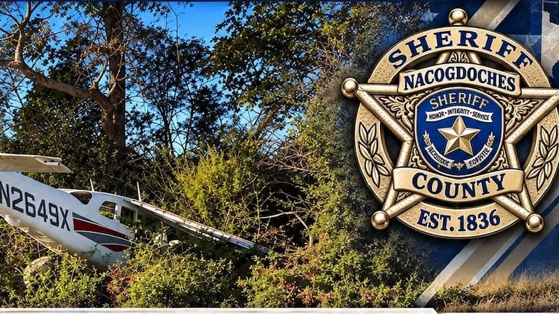 Single-engine plane down on FM 343 in Nacogdoches County