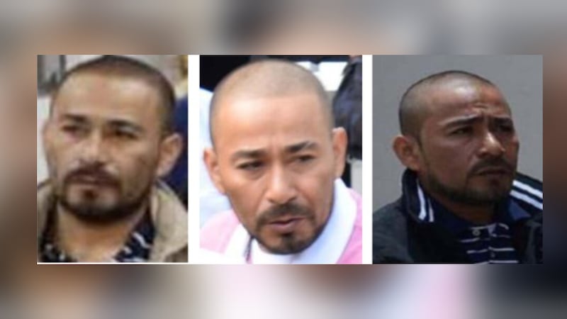 Yulan Adonay Archaga Carías