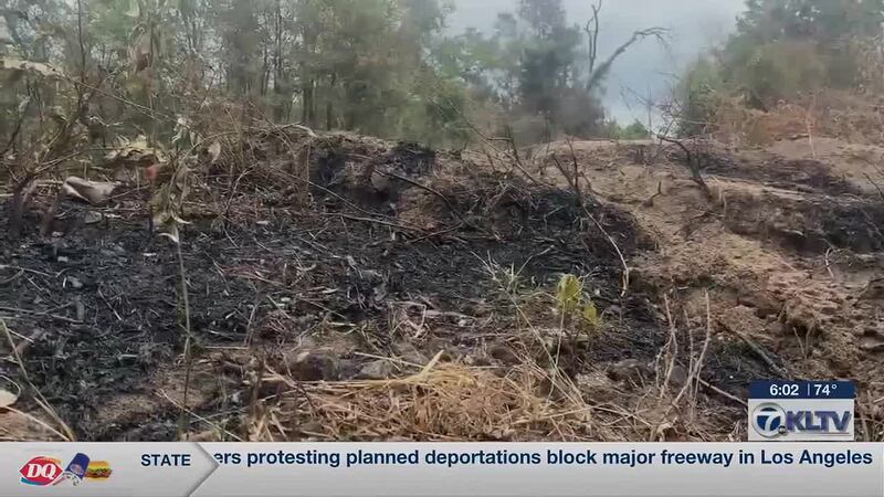 East Texas fire marshal warns that grassfires are on upswing