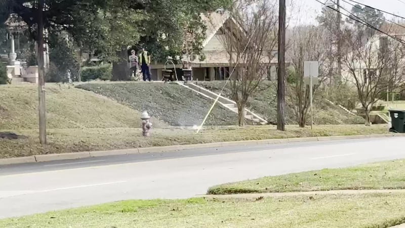 A broken power line sent sparks on a grassy curb after a vehicle hit it Thursday morning.