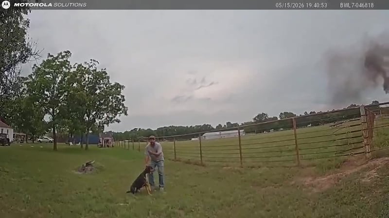 Un policía de Arp dispara a un perro durante la investigación de un incendio