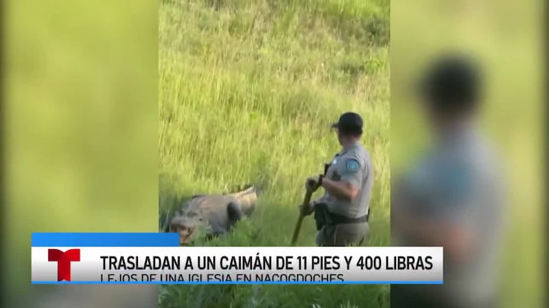 Noticias del este de Texas: 06/10/2026