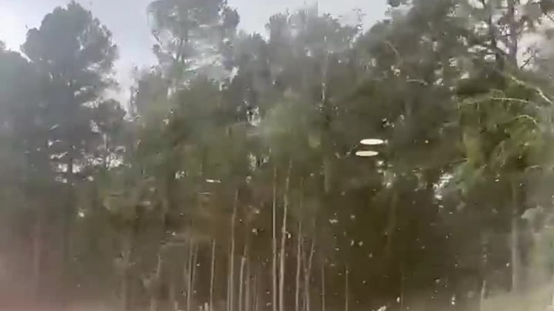 Video was captured at office building on County Road 4106.