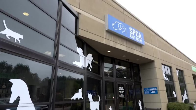 The SPCA of East Texas is warning it could be forced to close if donations don’t increase...