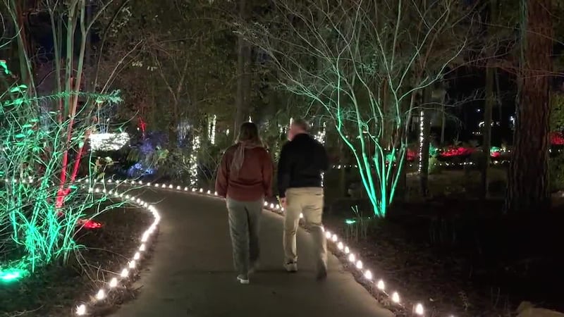 El Arboreto de Longview se ilumina para las fiestas con una nueva exhibición transitable