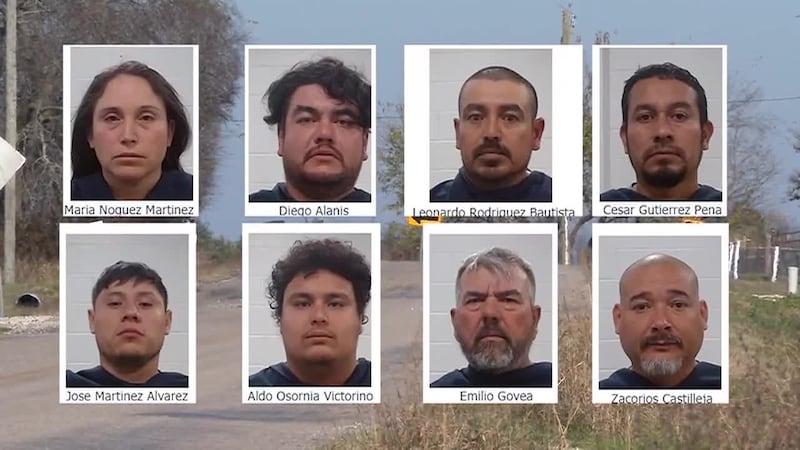 Ocho arrestados por delitos relacionados a peleas de gallos, tres de ellos bajo custodia de...