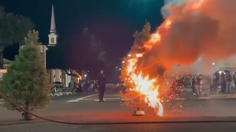 Consejos para como cuidar los árboles de navidad en lugares inflamables